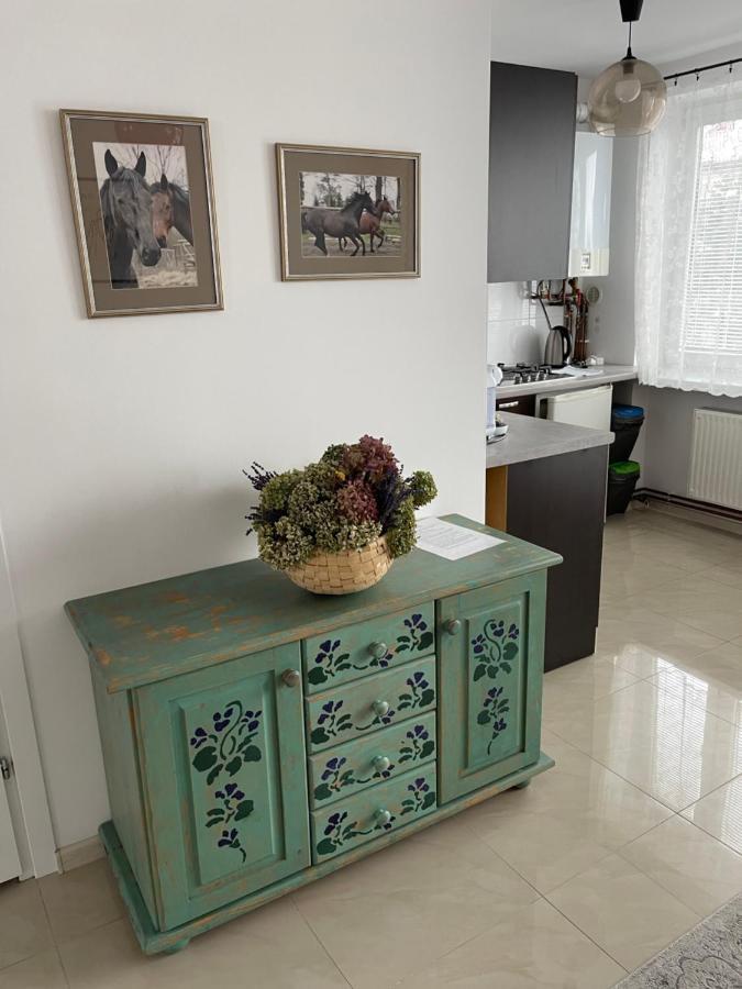 Apartamenty Cud Miod Krosno Exterior foto